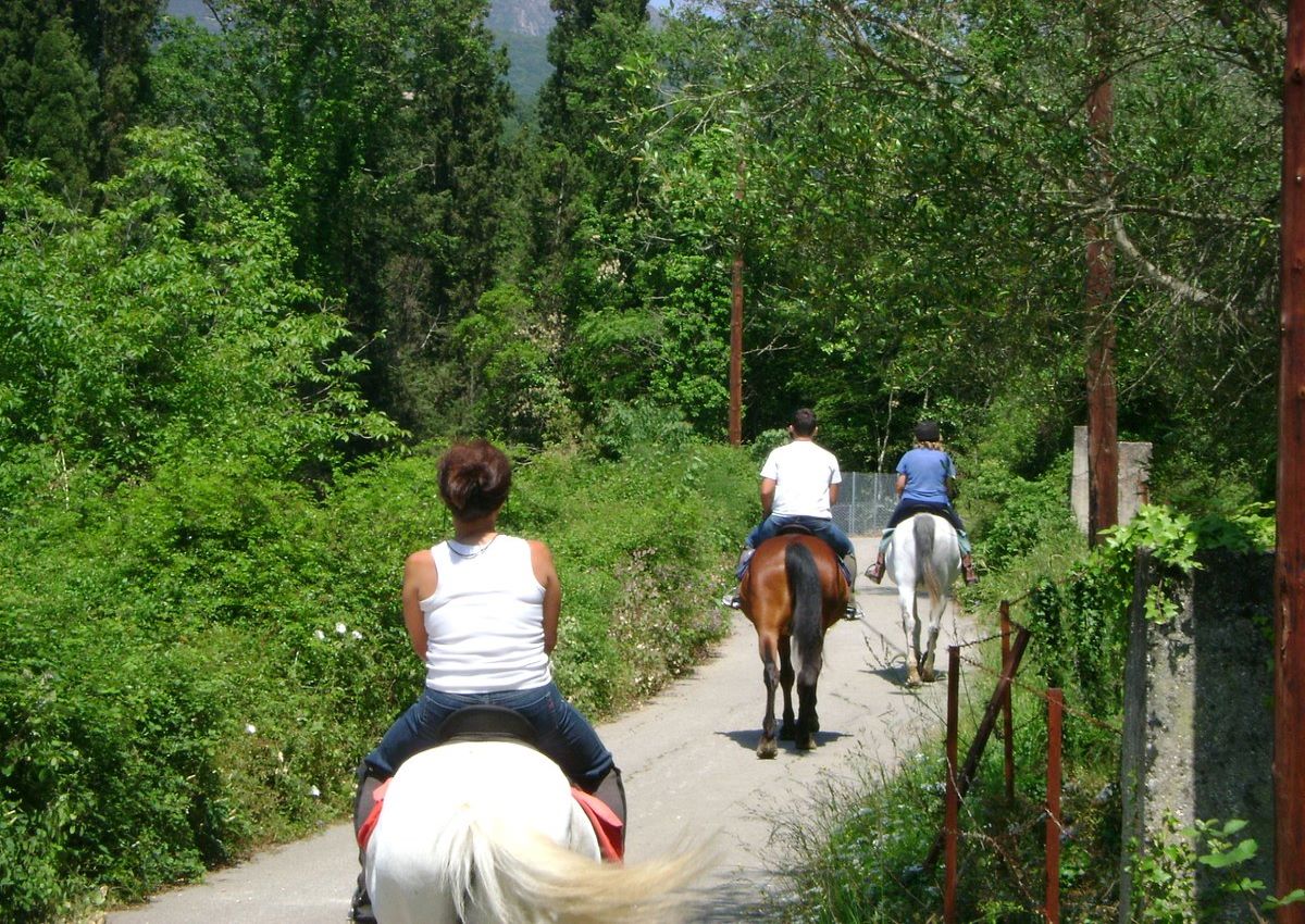 horse riding permet.jpg